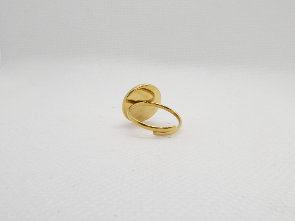 Anillo Circle