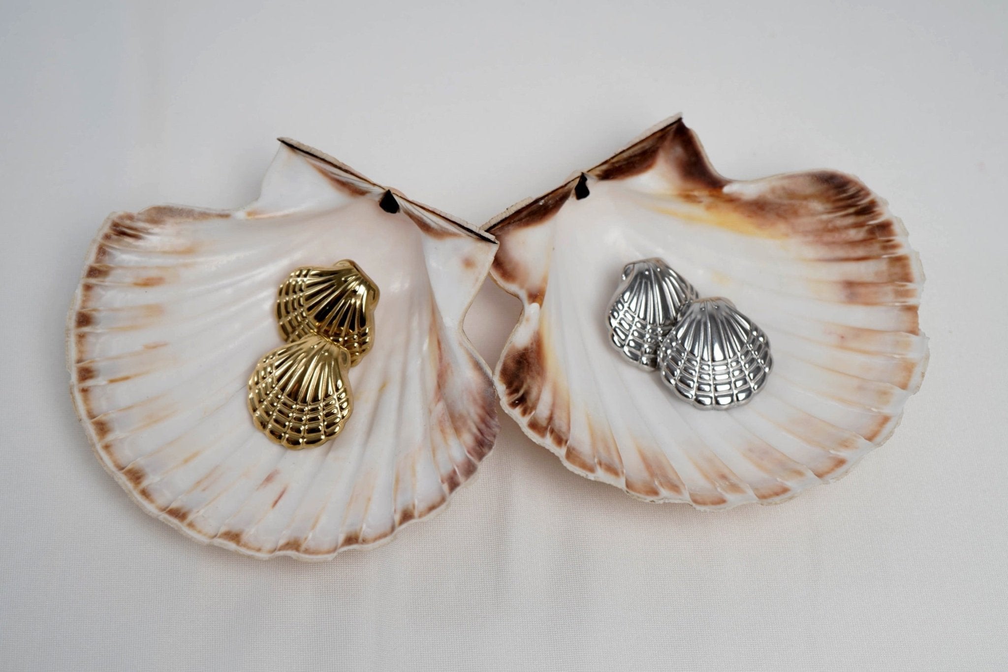 Pendientes Concha plata - EONIA